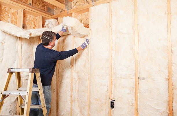 Best Basement Insulation  in Nokomis, IL